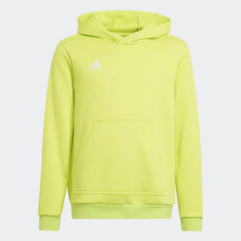 Sudadera adidas Entrada 22 HC5069